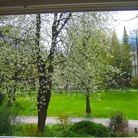 Ferienwohnung Am Ortenaupark バートライヘンハル エクステリア 写真